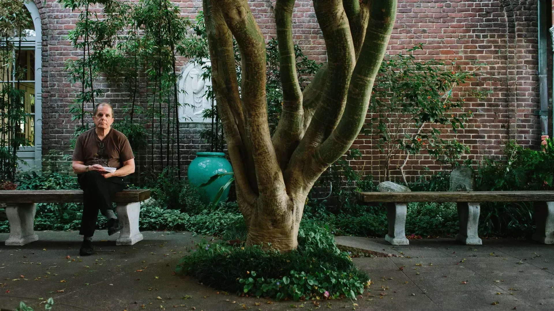 Dennis McNally sitzt an einem Baum