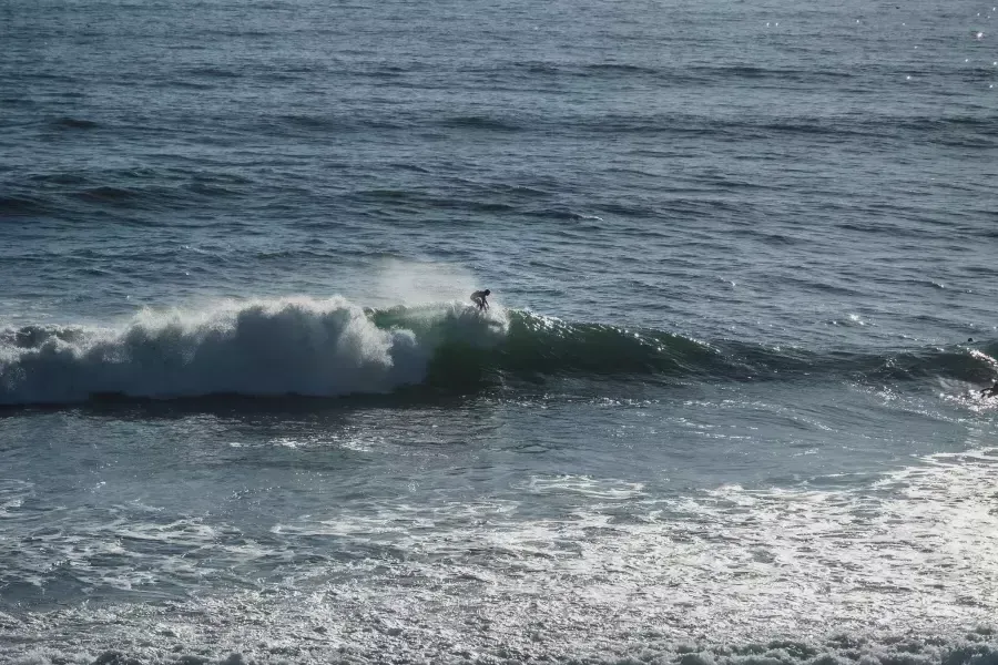 Nick Whittlesey surfing.