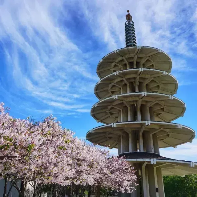 Die Friedenspagode in Japantown